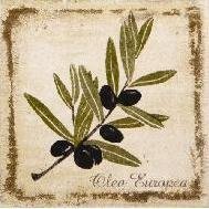 Декор Прованс А1912\1221 9,9х9,9 оливки