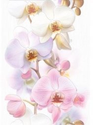 Декор Vilena Orchids 25х35 (TC2M051DT)